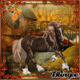 pferd im herbst