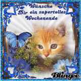 grüße an alle