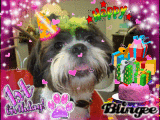 Tino's 1st. Birthday 
