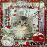 winter a magical season