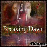 the time is now breaking dawn