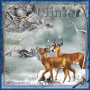 Fullmoonqueen_84 Fullmoonqueen_84