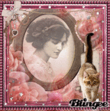 rose cat