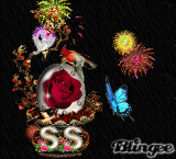 firework