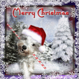 A gift for Lola Mae
