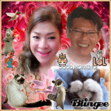 nina5566