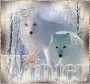 "Winter!" "Winter!"