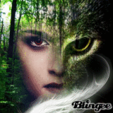 Twilight 5