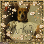 punky7 punky7