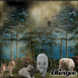 Night Of The White Wolf