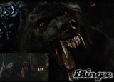 Van helsing werewolf