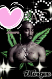 pac