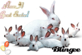 Hasenfamilie