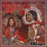 Day by day, I walk the distance alone! [Charlotte Wessels]