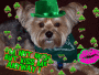 St.Patty's2013