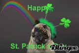 Happy St. Patrick´s Day