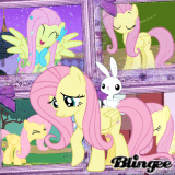 fluttershy