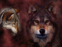 Renard-noir99 Renard-noir99