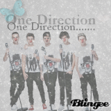 One Direction ...