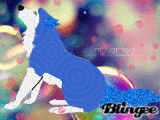 ^Tear Drop^