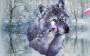 Neige_Eternelle