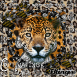 Captivating Eyes of the Leopard