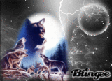 La nuit des loups