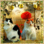 ***CAT***