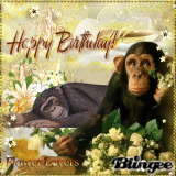 HAPPY BIRTHDAY  ellehcim71   