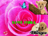 happyspring
