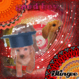 My Nintendogs: Marco The Good Guy!!