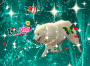 Polar Wolf