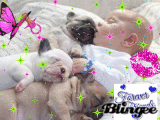Baby Love