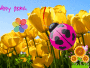 spring has sprung