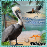 Просмотреть окончательные места