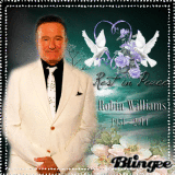 R.I.P Robin Williams 2