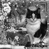 winter-cat-blanc-et-noir