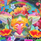 Mostra le classifiche finali