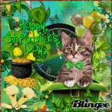 St Patrick Cat