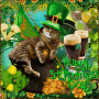 St Patrick Cat