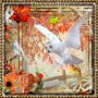 Owl Autumn - My Entry #II