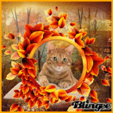 Happy autumn♥schönen Herbst