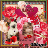 cat valentine