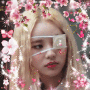 emotea emotea