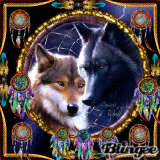 ファイナルランキングを見る