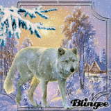 White Winter Wolf