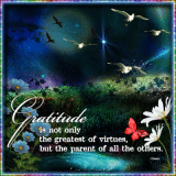 Gratitude is Everything S_Cstyle