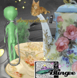 Free Speech 2 soft coup