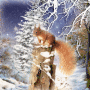 Winter Squirrel