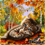 AUTUMN CAT . . .by Piedad5007